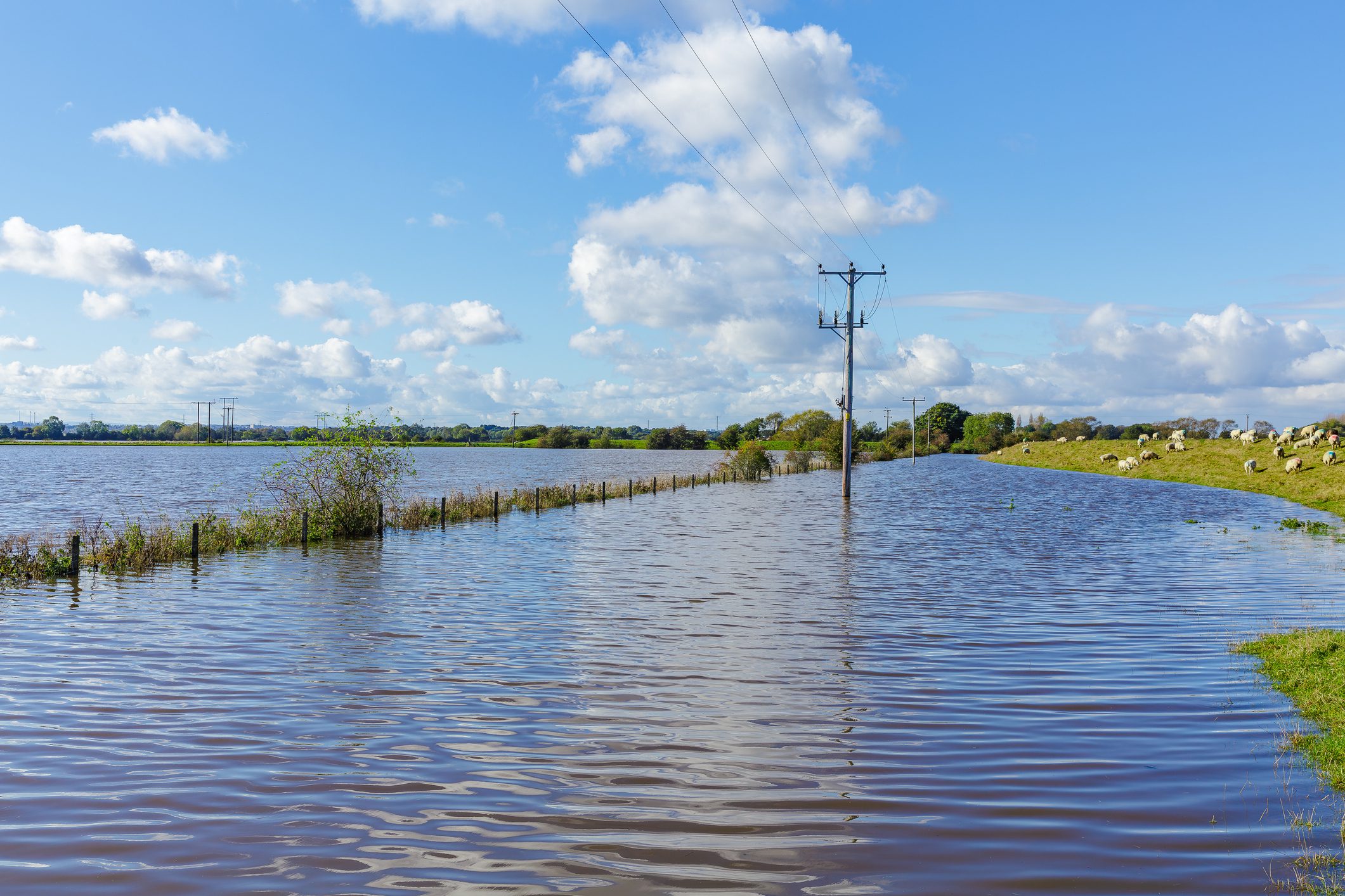 A flooded landscape with standing water extending across a rural area, power lines visible in the background, and a fence along the water's edge. Green grass and trees are located on one side of the flooded area.