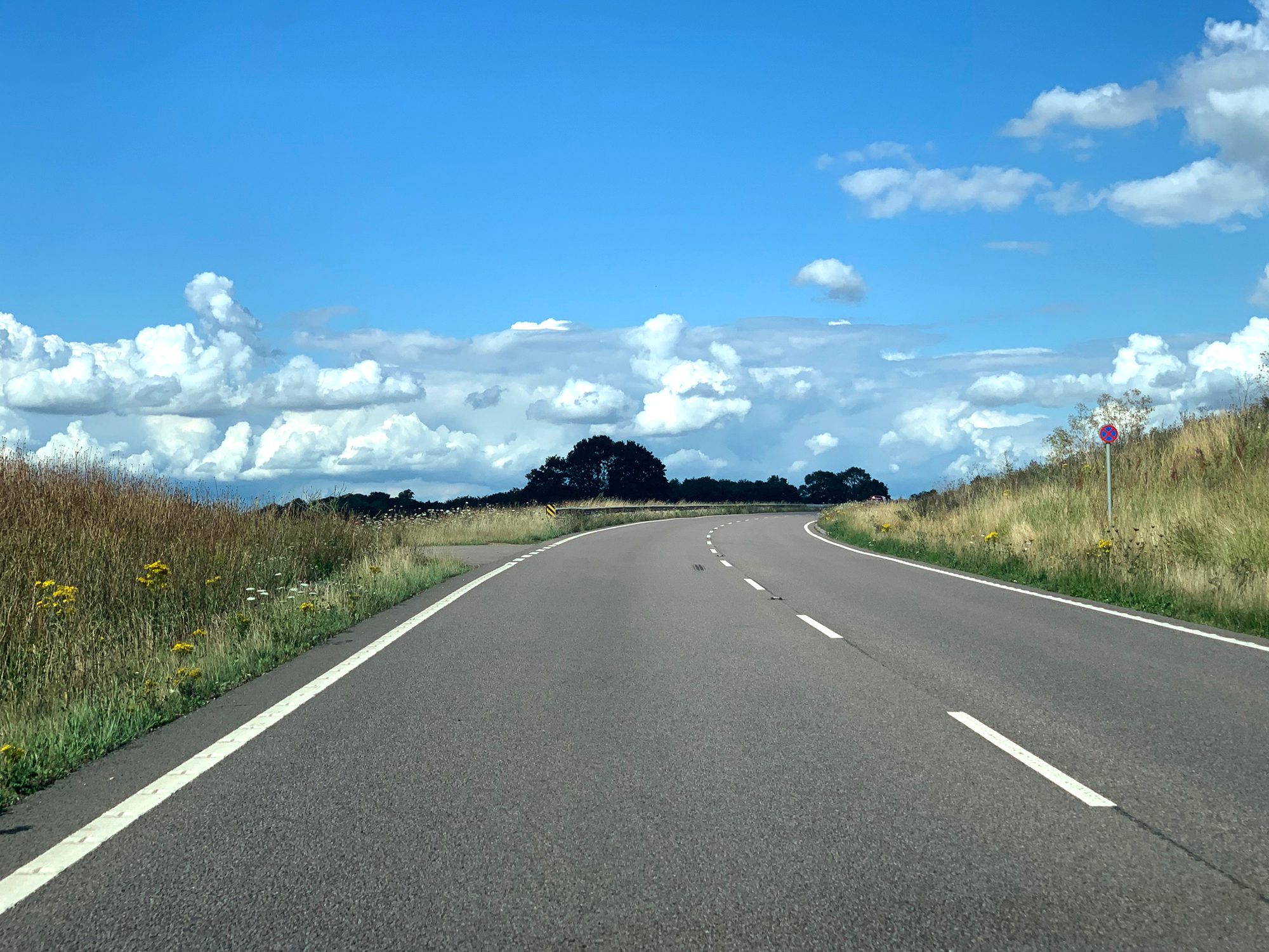 A winding road surrounded by grassy fields under a blue sky with fluffy white clouds. A purple sign is visible on the right side of the road, indicating a turn or direction.
