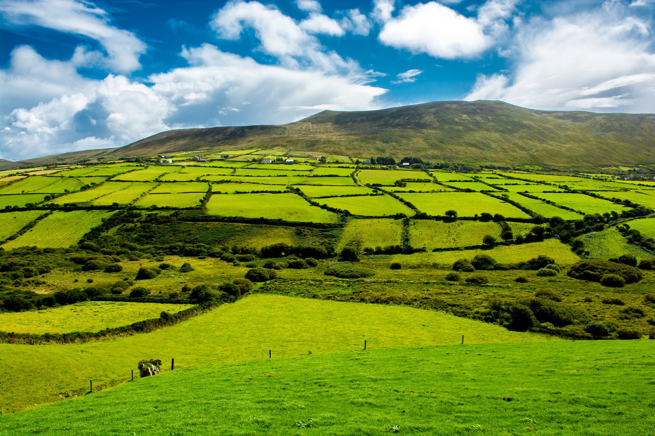 A scenic landscape featuring rolling green fields divided by stone walls, with a distant mountain under a blue sky filled with clouds.