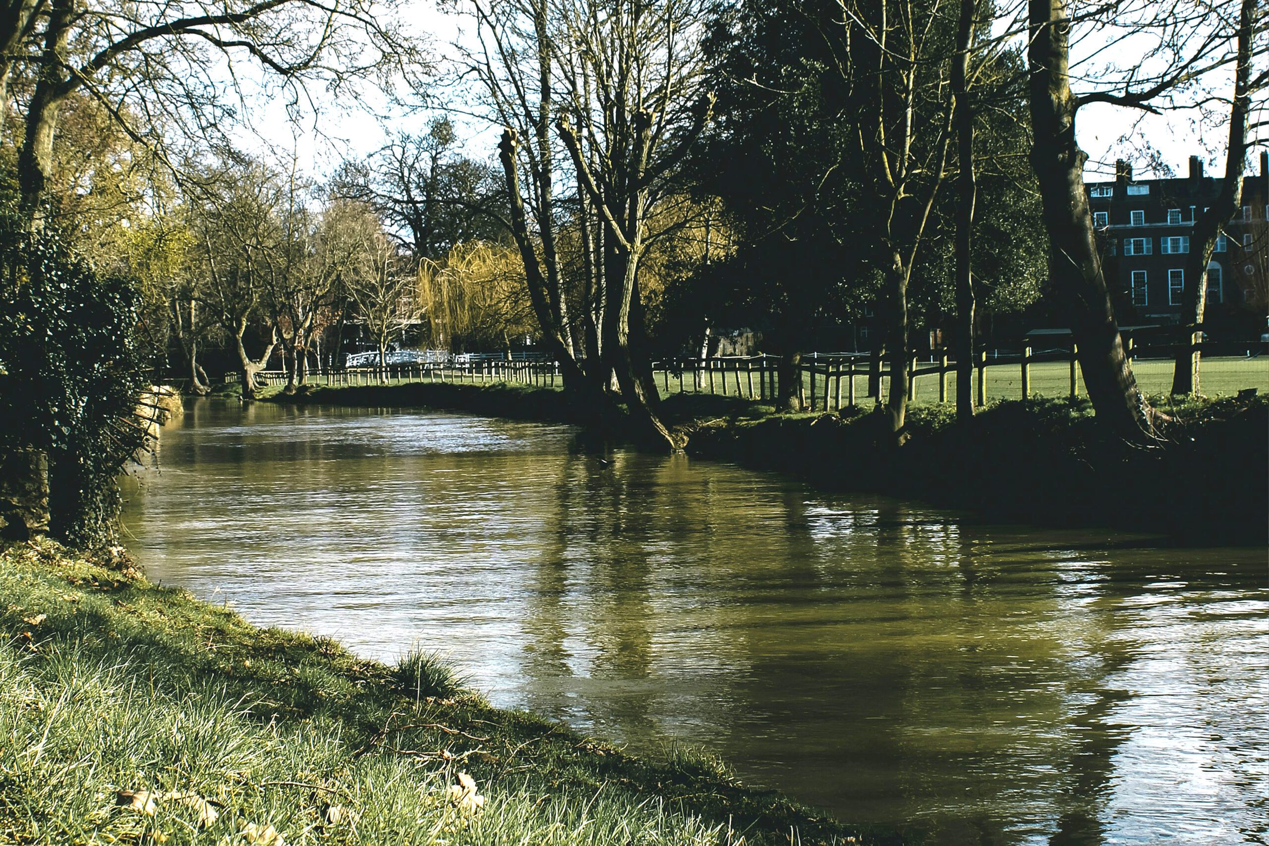 A calm river flowing through a tree-lined area with grass along the banks, reflecting the trees and sky. In the background, a residential building is visible among the greenery.