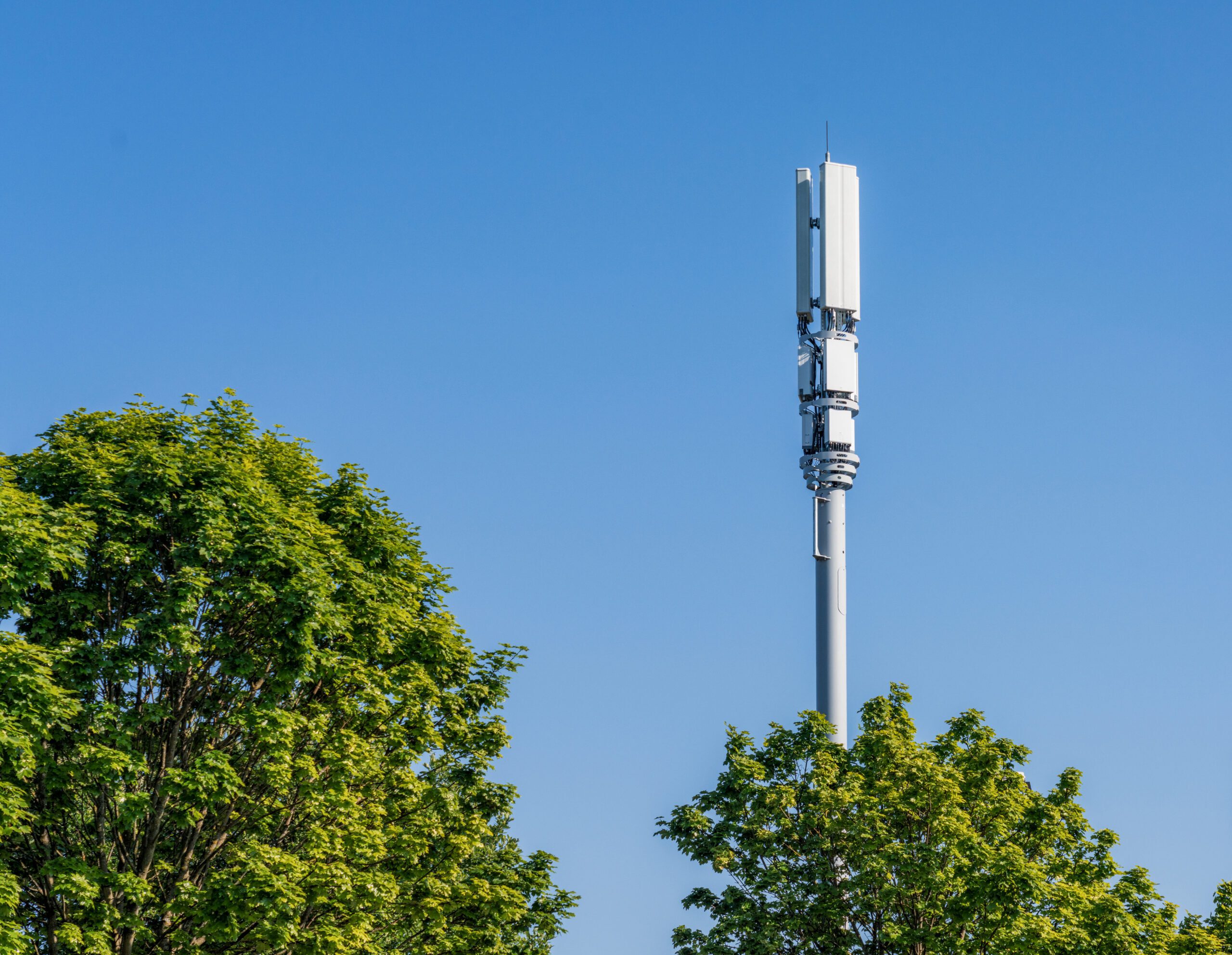 A tall cell tower with multiple antennas is visible against a clear blue sky, framed by green trees at the bottom of the image.